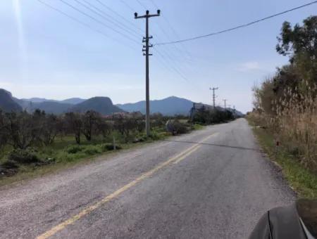 5500M2 Land For Sale In Dalyan