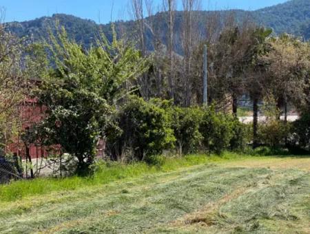 3700M2 Land For Sale In Dalyan