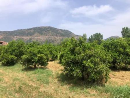 Land For Sale In Sourliyurtda 1085M2