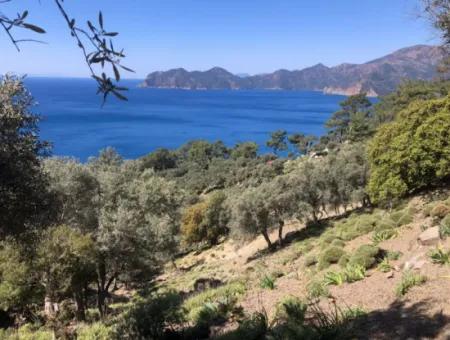 Land For Sale With Sea View In Çandir