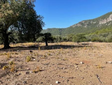 2620M2 Land Field For Sale With Sea View Of Çandir