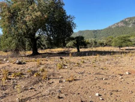 2620M2 Land Field For Sale With Sea View Of Çandir