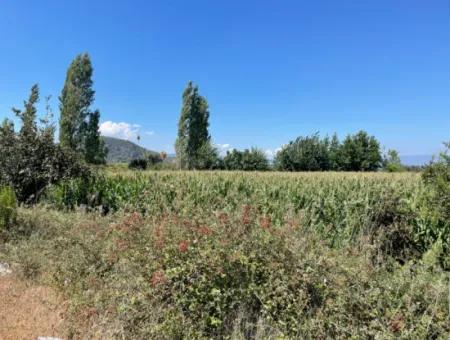 Dalyan Main Road Zero Land For Sale 8115M2 Commercial Land For Sale