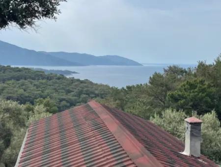 Olive House With Sea View In Ekincik Is For Sale