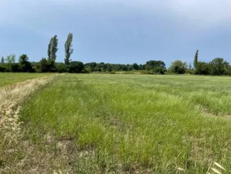 4595M2  Land For Sale In Okçular Marmarlı