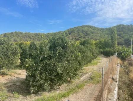 4000M2 Land For Sale Zoned In Village Built-Up Area In Tepearasin