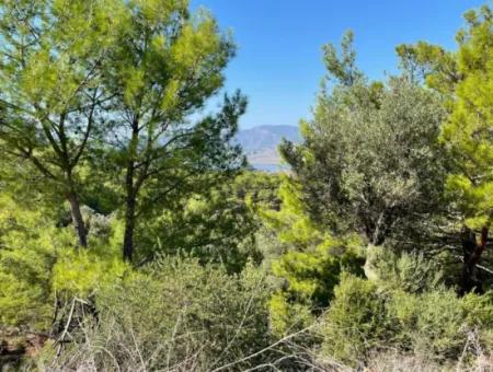 4801M2 Land For Sale In Gökbel With Full Sea View