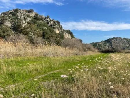 6800 M2 Land For Sale In Dalyan With 5% Residential Zoning