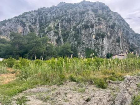 Field For Sale 6500M2 In Dalyan