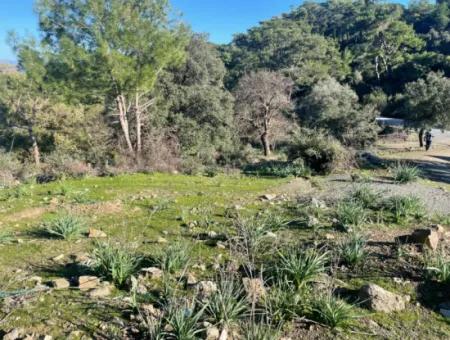 2B Land For Sale With Sea View In Çandır