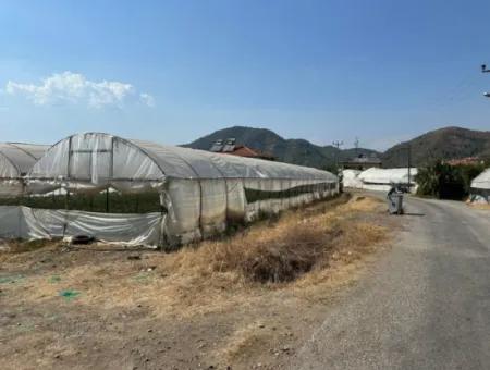 1462M2 Zoned Land For Sale In Ortaca Ekşiliyurt