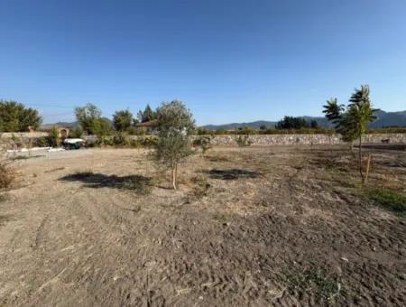 19.663M2 Land For Sale In Eskiköy