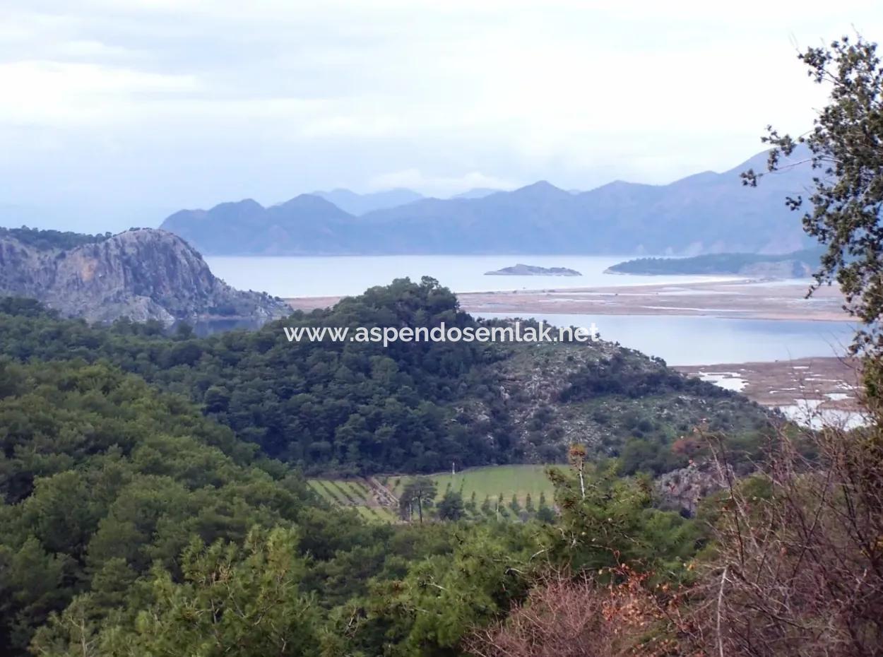 Gökbelde Satılık Arsa Dalyan İztuzu Yoluna Sıfır 7484M2 Göle Sıfır Satılık Arsa