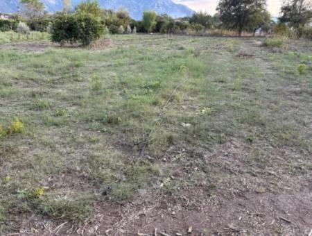 Dalyan Merkeze Yakın 7,450M2 Satılık Arsa