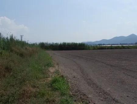 Eskiköyde Satılık Arsa Tarla Ortaca Dalyan Eskiköyde 15,760M2 Satlık Arsa Tarla