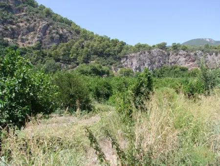 Dalyan'da Kanala Sıfır Satılık Arsa