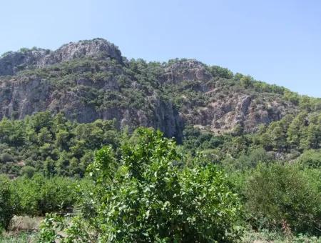 Dalyan'da Kanala Sıfır Satılık Arsa