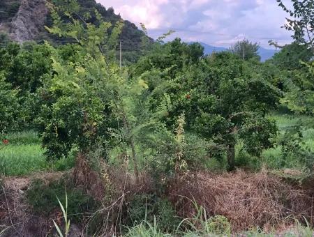 Dalyan Satılık Arsa Gülpınar 722M2 Satılık Arsa