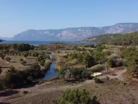 Çamlıda Satılık Arsa Arazi Marmaris Çamlıda Deniz Manzaralı 11720M2 Satılık Arsa