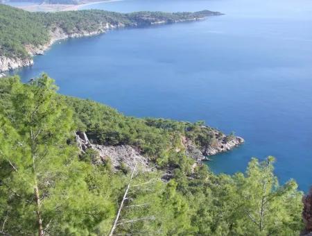 Ekincik Çandır Arasın'da Deniz Manzaralı Kelepir Emlak Satılık Arsa