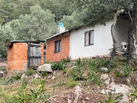 Ekincikde Deniz Manzaralı Zeytin Evi Satılıktır