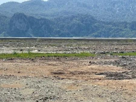 Dalyan İztuzu Plaj Yoluna Sıfır 19,600M2 Satılık Tarla Arazi