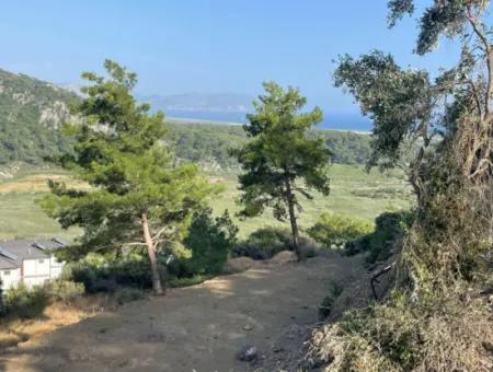 Sarıgerme'de Full Deniz Manzaralı 425M2 Satılık Arsa